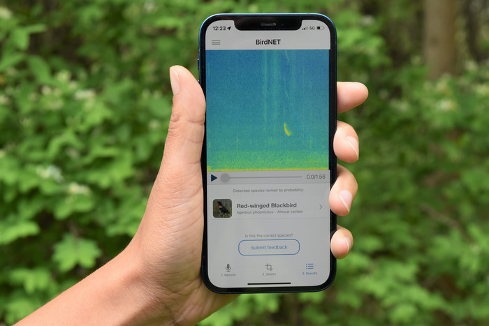 Researchers have developed the BirdNET App, where people can easily participate in bird research and conservation.

CREDIT: Ashakur Rahaman, Yang Center/Cornell Lab of Ornithology