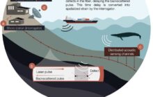 Yes we can monitor whales with existing fiber optic cables