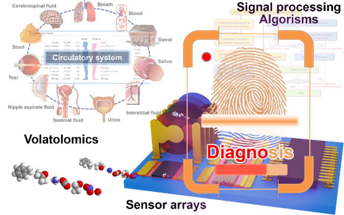 Scientists develop diagnostic device for identifying compounds unique to particular diseases. CREDIT: Nano Research, Tsinghua University Press
