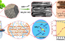 Efficient harvesting of metal elements and even uranium from the sea using biological nanofibrils