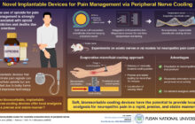 Testing: A soft, bioresorbable, implantable device to block pain signals from sciatic nerves
