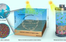 A miniaturized bionic ocean battery with stable bio-solar cells