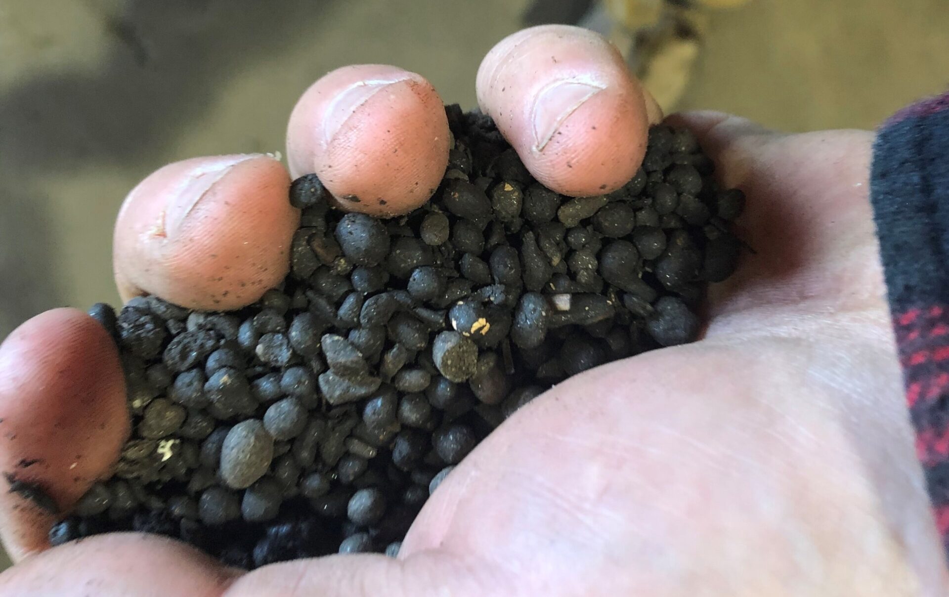 Compost granules form part of the Precision Compost Strategy