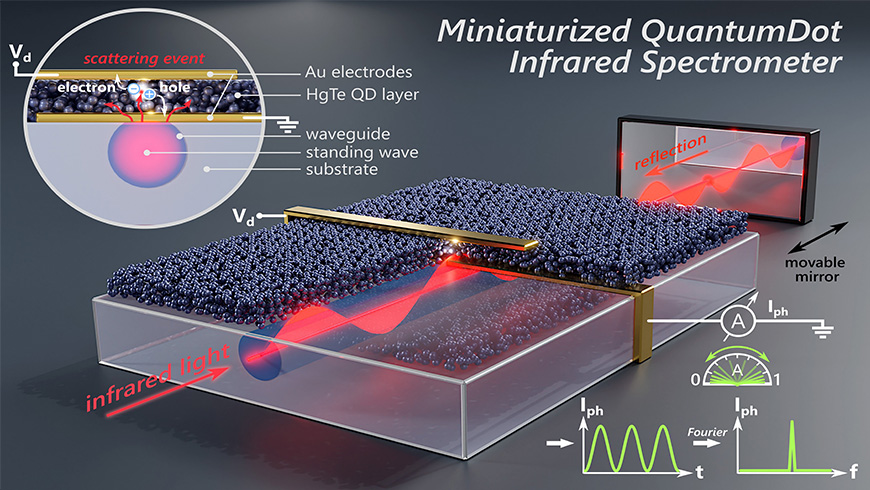This is how the IR spectrometer works: The photodetector, fabricated on top of a surface optical waveguide, consists of a bottom gold electrode at the bottom functioning as a scattering center, a photoactive layer (consisting of colloidal mercury telluride – HgTe – quantum dots), and a top gold electrode. By moving the mirror, the measured photocurrent maps the light intensity of the standing wave. i.e. the IR light. A Fourier transformation of the measured signal gives the optical spectra. Image: Lars Lüder