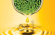 Using engineered duckweed to produce biofuels at industrial scale and save croplands?