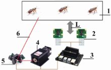 Zapping cockroaches automatically with a laser directed by artificial intelligence