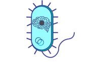 Transforming bacterial cells into living artificial neural circuits for biomanufacturing and therapeutics