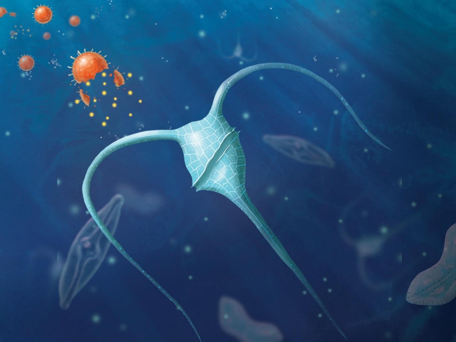 Seeding the oceans with nano-scale fertilizers could create a much-needed, substantial carbon sink. (Illustration by Stephanie King | Pacific Northwest National Laboratory)