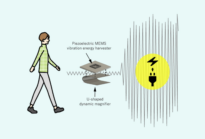 The new harvester can amplify power generated from human walking vibrations by about 90 times while remaining as small as conventional harvesters. CREDIT Yoshimura, Osaka Metropolitan University