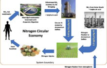Turning wastewater into fertilizer could help to reduce the environmental and energy footprint of fertilizer production
