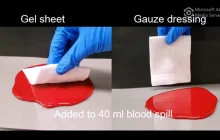 Could this hydrogel invention drive the ubiquitous paper towel to extinction?