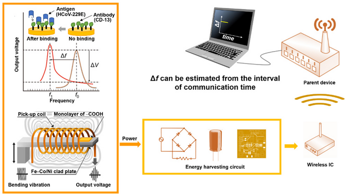 A schematic of how the device operates. via Tohoku University