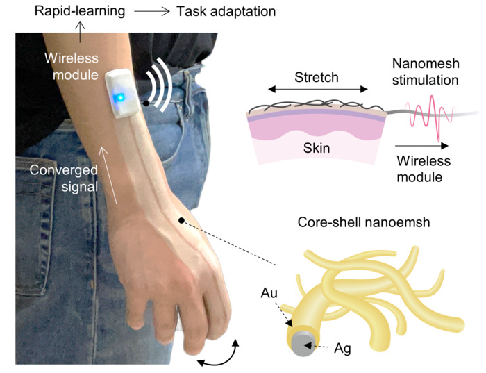 Spray-on sensory system which consists of printed, bio-compatible nanomesh directly connected with wireless Bluetooth module and further trained through meta-learning CREDIT Kyun Kyu “Richard” Kim, Bao Group, Stanford U.