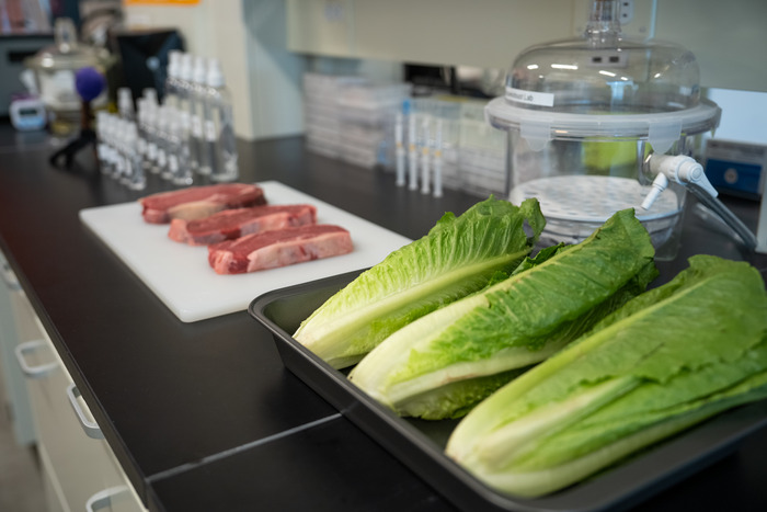 Researchers tested their food-safe antibacterial spray on foods including beef and romaine lettuce. CREDIT McMaster University