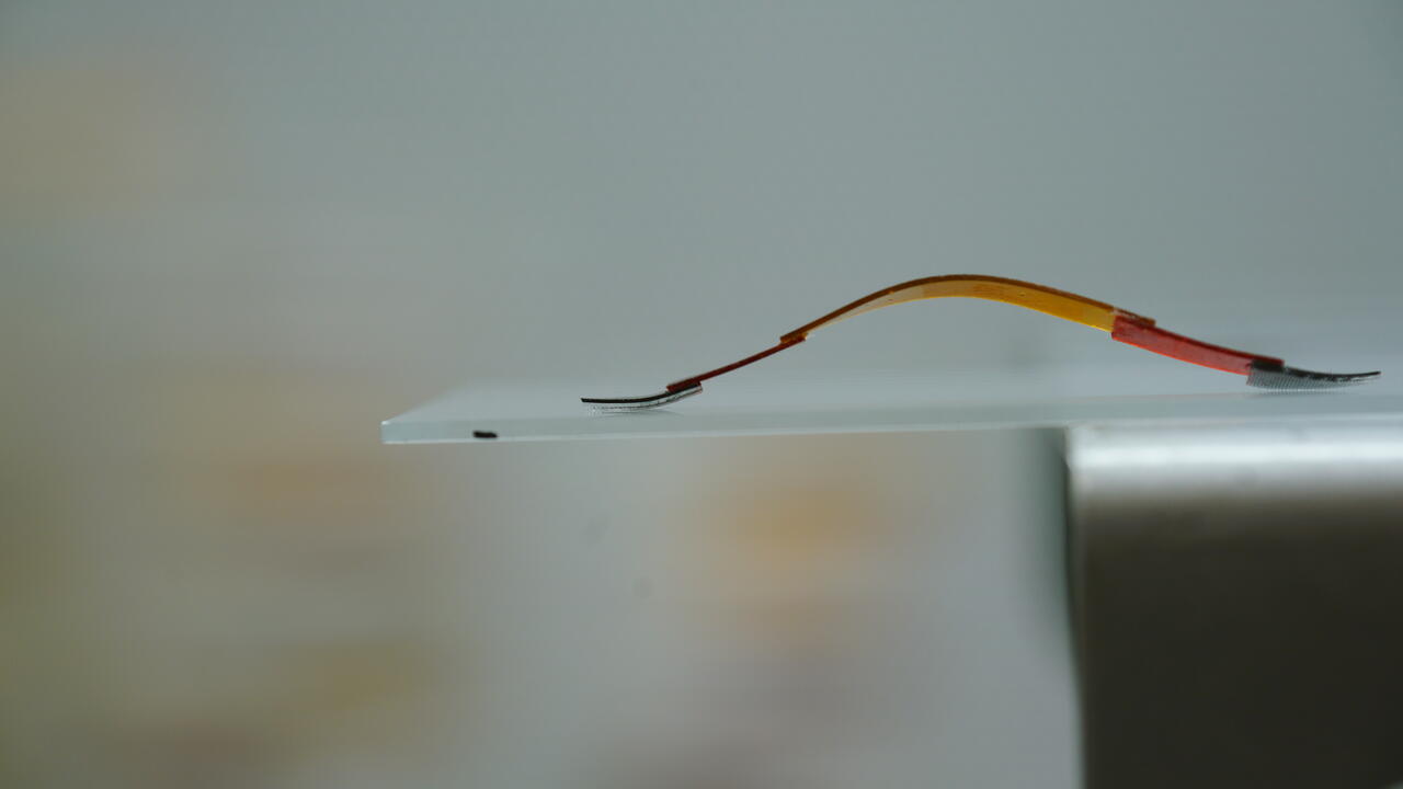 Tiny new climbing robot was inspired by geckos and inchworms Credit: University of Waterloo