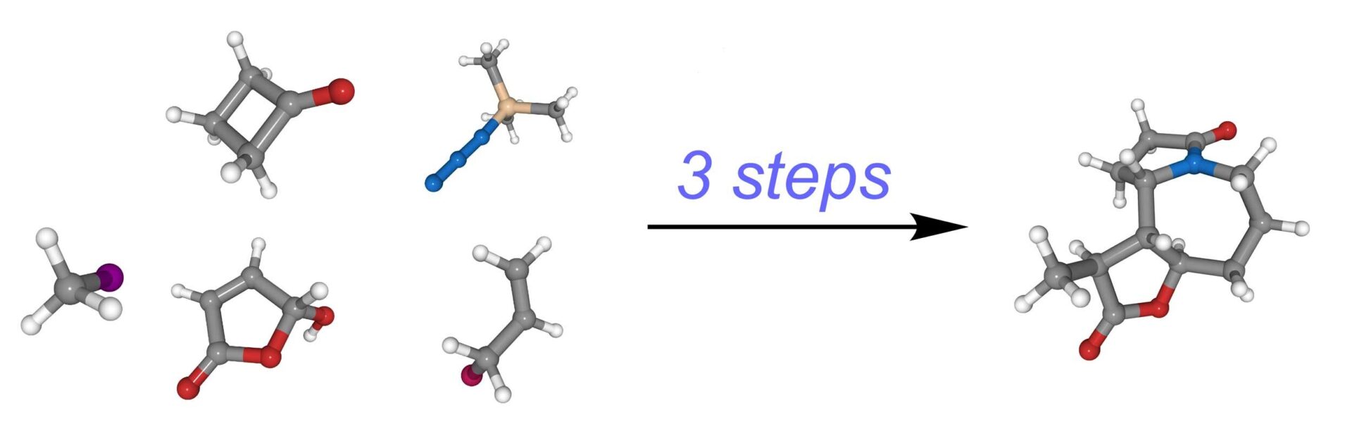 Tim Cernak and team duplicated a complex molecule in only three steps. Image credit: The Cernak Lab
