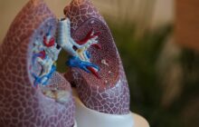 An inhalable powder could protect lungs and airways from viral invasion including Covid and flu