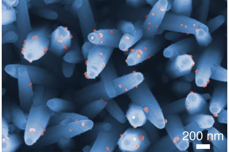 Microscopic image of nanowires CREDIT Dr Takao Yasui