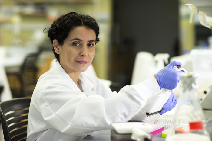 University of Virginia researcher Eyleen Jorgelina O’Rourke, PhD, and her team have been seeking to identify the mechanisms driving healthy aging and longevity. CREDIT Dan Addison | UVA Communications