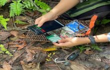 Using low-cost microphones to track the spread of disease between animals and people in the wild