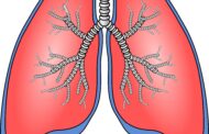 RNA-delivery particles can perform gene editing in the lungs
