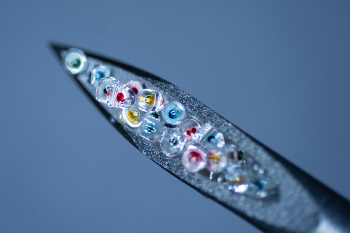 Sealed microparticles containing colored dye are shown inside the narrow opening of a standard-sized hypodermic needle. (Photo by Brandon Martin/Rice University)