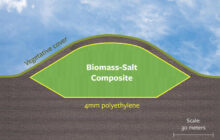 Salting and burying biomass crops in dry landfills could economically capture greenhouse gases for thousands of years