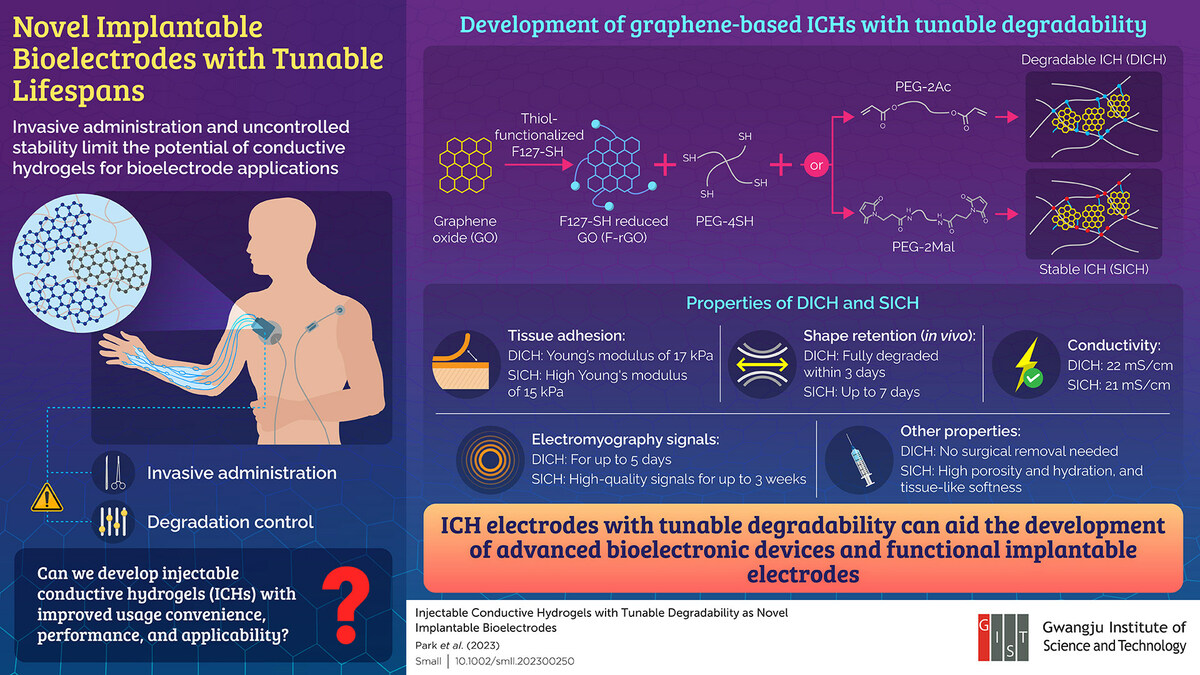 Researchers from Gwangju Institute of Science and Technology (GIST), Korea have developed graphene-based conductive hydrogels as bioelectrode materials for overcoming the challenges associated with traditional, metal-based bioelectrodes. These conductive hydrogels are injectable, skin-compatible, easy to use, and demonstrate excellent signal transmission. Moreover, their controllable degradability can allow the development of high performing, convenient bioelectrodes with advanced applicability.