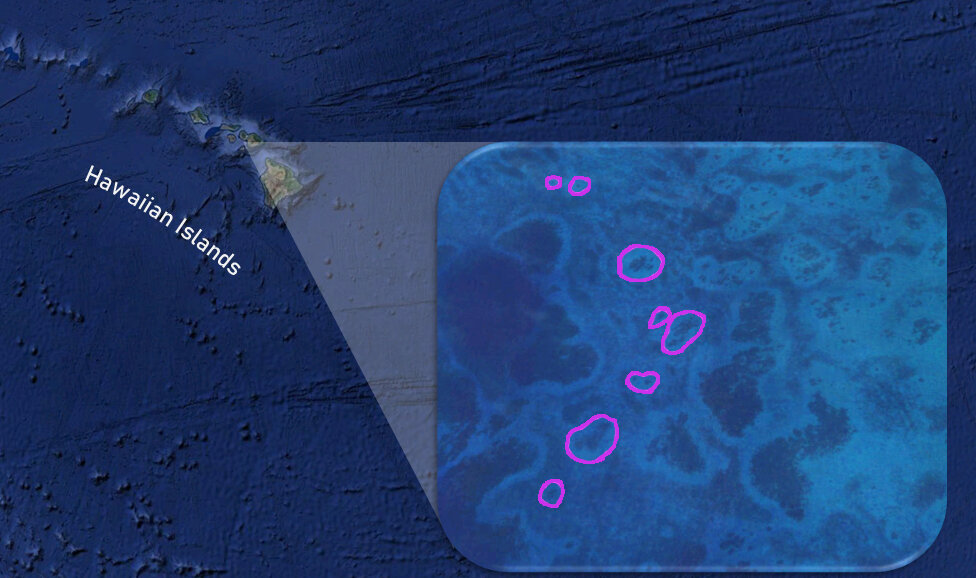 Example of reef halos around Hawaiian Islands as observed from satellite images. CREDIT Elizabeth Madin Lab