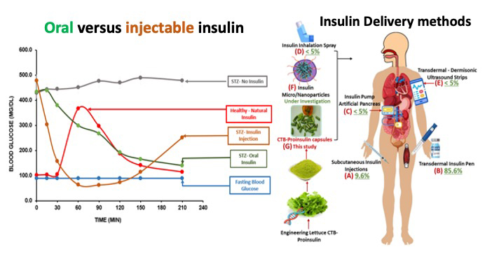 Oral versus injectable insulin and insulin drug delivery methods. (Image: Courtesy of Henry Daniell)