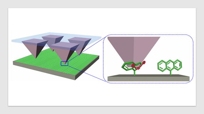 Tip arrays transfer a dienophile molecules (red) onto an anthracene-modified (green) surface. Upon contact, the tips form nanoreactors, where pressure is applied that accelerates the Diels-Alder cycloaddition reactions. For their study, the authors took monolayers of molecules placed on silicon wafers and pushed reactive molecules into them using tip arrays, which created new chemicals. The experimental setup allowed the researchers to precisely control the pressure between the molecules, which led to a new understanding of what occurs in these reactions. (Image credit: Yerzhan Zholdassov) CREDIT Yerzhan Zholdassov