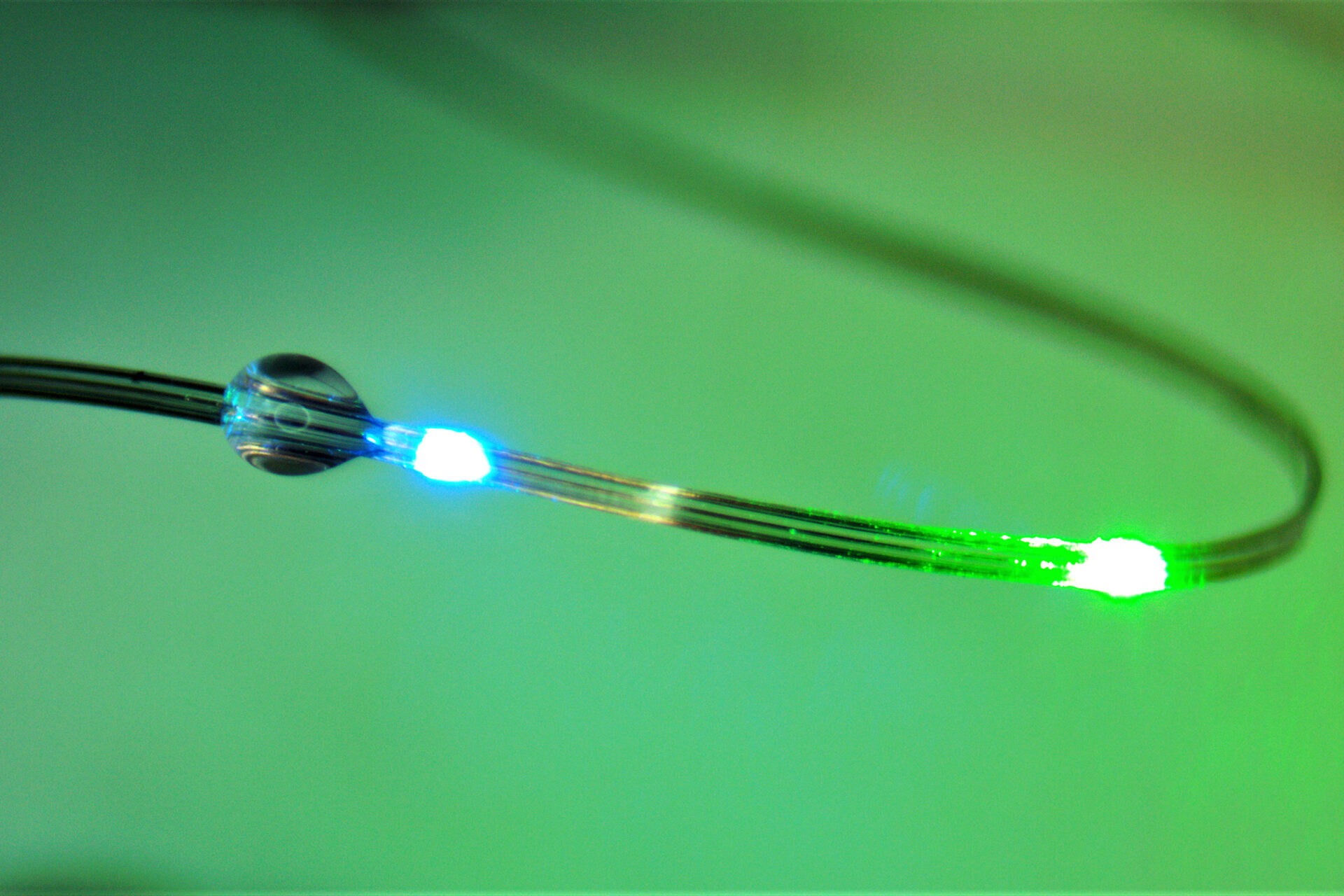 These flexible fibers, which are embedded with sensors and light sources, can be used to manipulate and monitor the connections between the brain and the digestive tract. Credits:Image: Courtesy of the researchers
