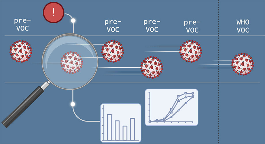 A new Scripps Research machine-learning system tracks how epidemic viruses evolve. This technology could have predicted the emergence of SARS-CoV-2 “variants of concern” (VOCs) ahead of their official designations by the World Health Organization (WHO). Credit: Graphic made using BioRender.com