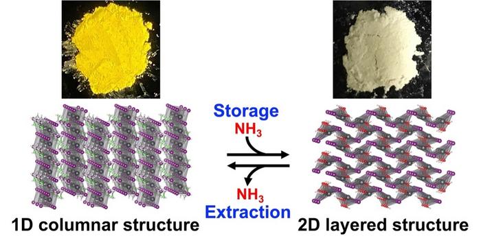 Reversible changes in color and crystal structures during storage and extraction of ammonia through chemical conversion CREDIT RIKEN
