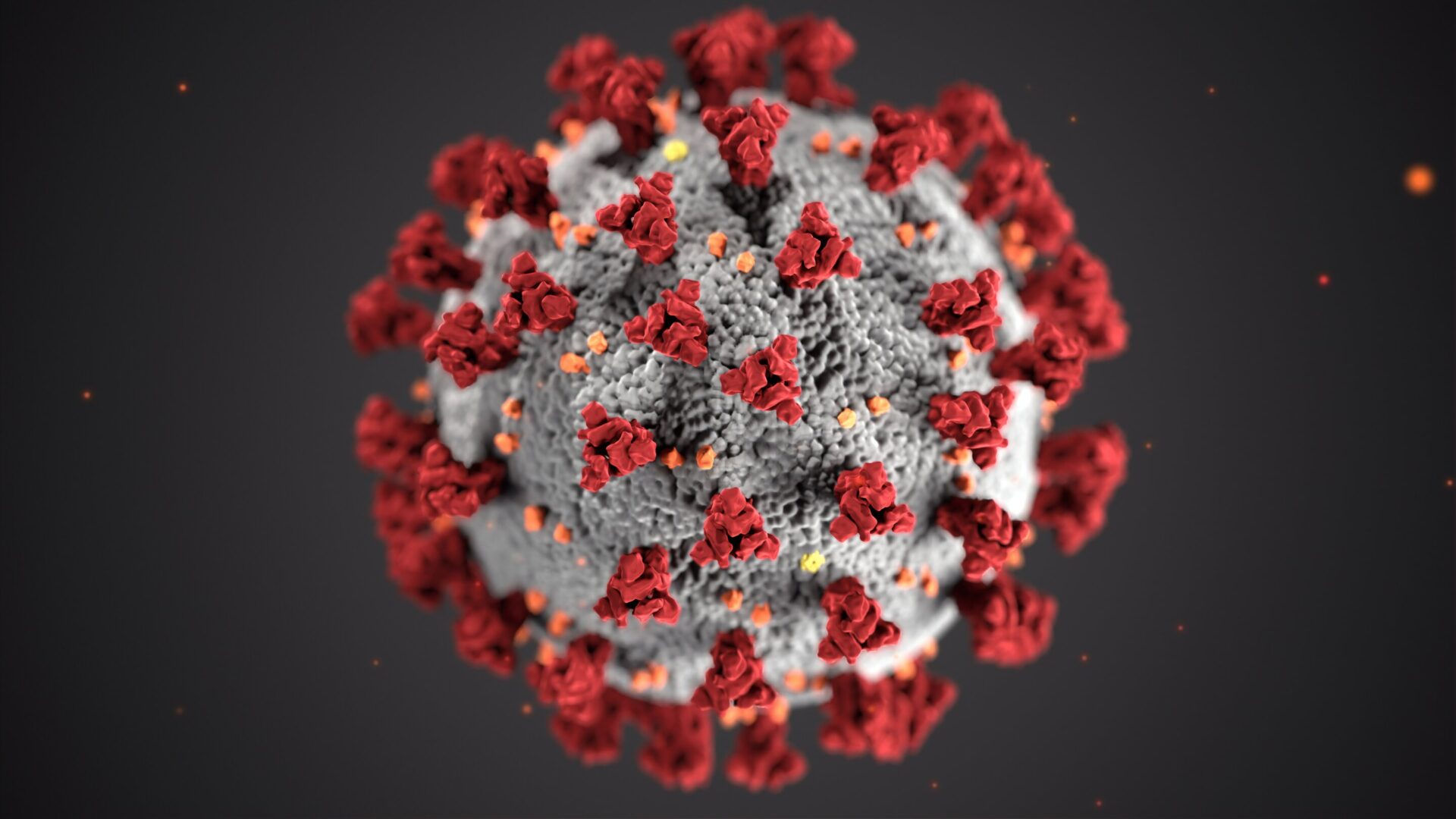 This illustration, created at the US Center for Disease Control and Prevention (CDC), reveals ultrastructural morphology exhibited by coronaviruses. Credit: Unsplash/CC0 Public Domain