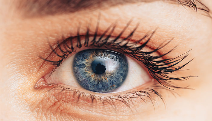Potential: Macquarie reseachers say there is optimism gene therapy will be a valuable addition to other treatments that make eye nerves more resistant to the mechanisms that cause glaucoma.