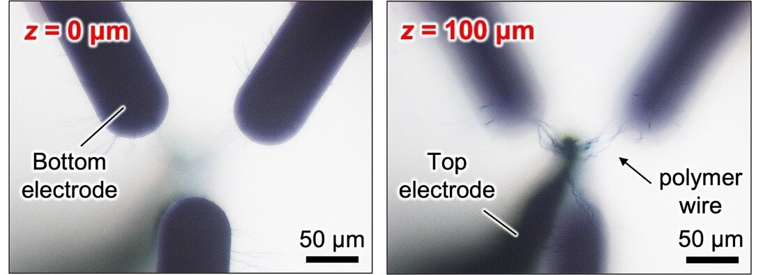 Fig. 1 Optical microscopy images of the 3D polymer wiring between a top electrode (TE) and three bottom electrodes (BEs) at the vertical distance from the surface of glass substrate z = 0 and 100 ?m. Credit: 2023 Naruki Hagiwara et al., Advanced Functional Materials