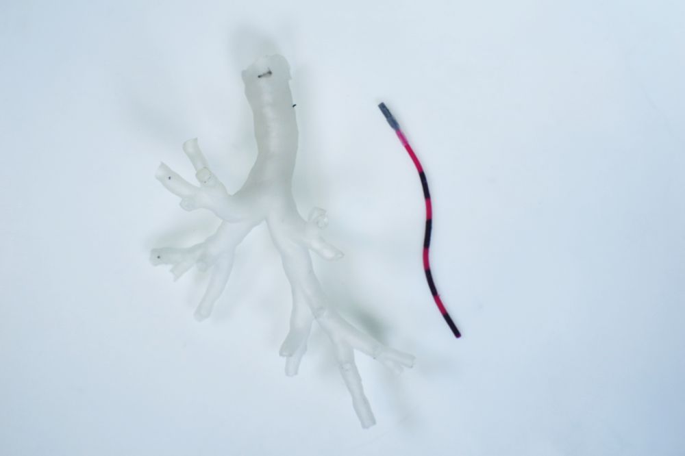 Close-up of a magnetic tentacle robot next to a phantom bronchiole