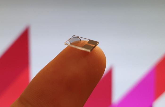 Nanoparticle sensors are smaller than a human fingernail CREDIT Macquarie University
