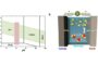 The integration of biology and microelectronics using silk-based hybrid transistors