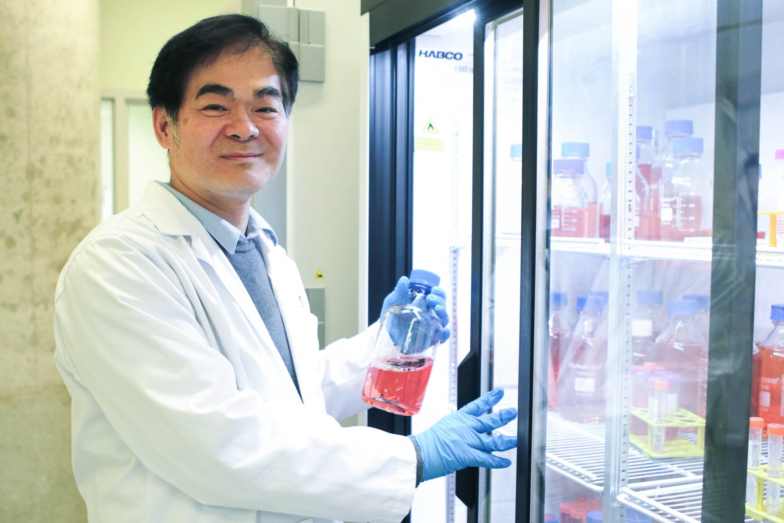 Brock University Professor of Health Sciences Newman Sze, who is the Canada Research Chair in Mechanisms of Health and Disease, and his international team have discovered a groundbreaking immunotherapy method that could potentially add years to healthy aging.