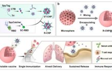 A novel dry-powder inhaled vaccine platform holds great promise for combating future emerging and epidemic infectious diseases