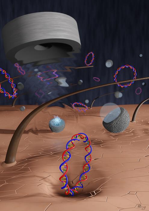 Ultrasound pulses deliver vaccines through the skin without needles. This technique, which employs sound waves to create bubbles that forge a path for the vaccine, may be especially helpful for DNA vaccines. CREDIT Darcy Dunn-Lawless
