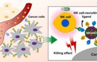 A remarkable breakthrough in cancer treatment: Revolutionary nanodrones enable targeted cancer treatment
