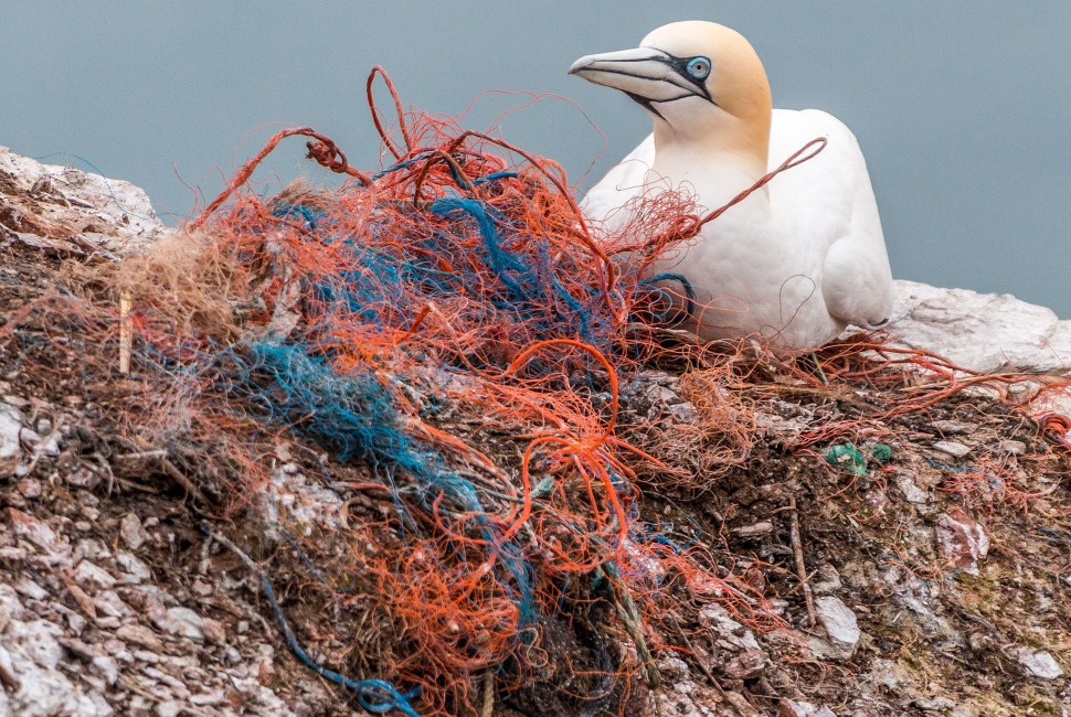 Found in fishing nets, carpet, clothing, Nylon-6 is a major contributor to plastic pollution, including ocean pollution.