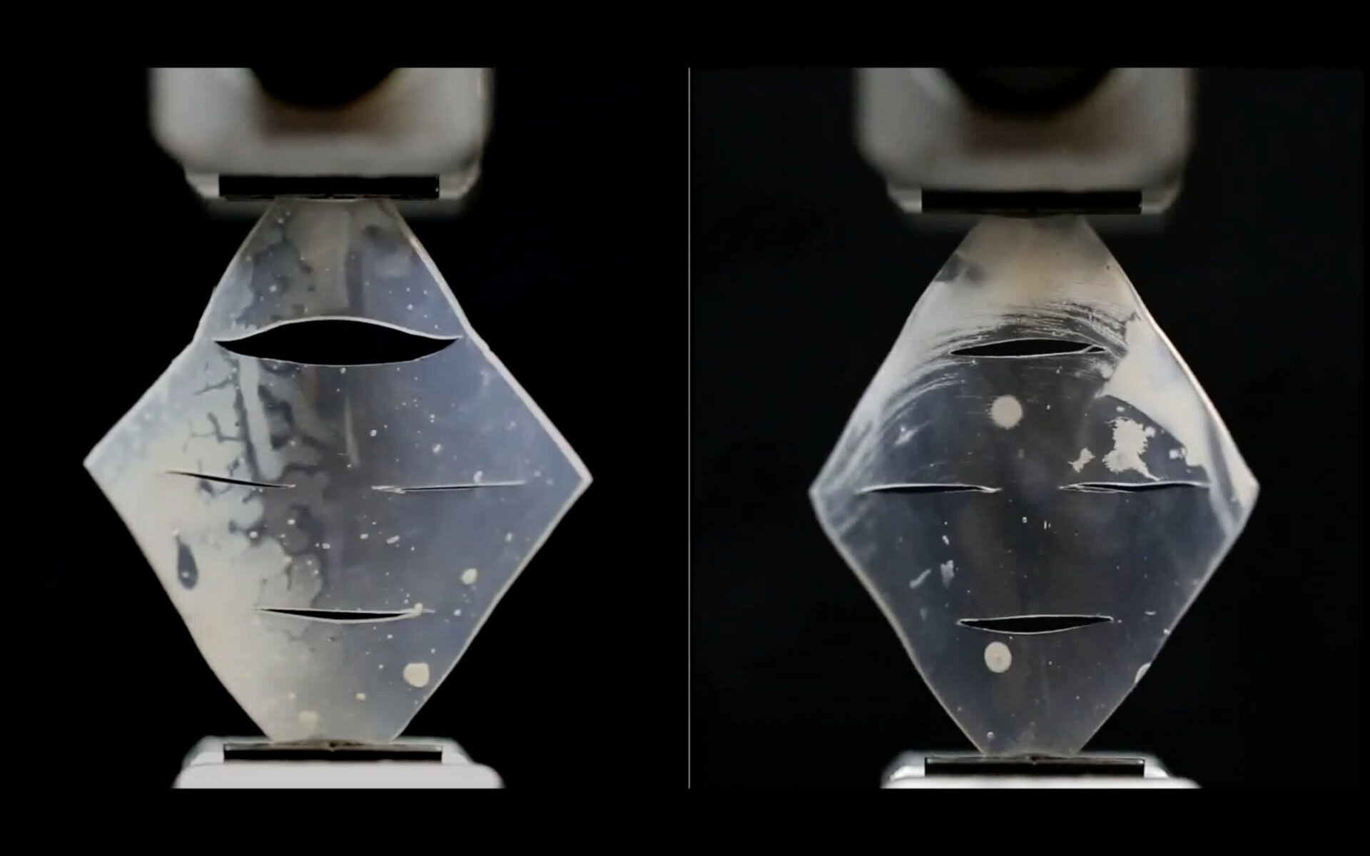 SEAS researchers have developed a multiscale approach that allows particle-reinforced rubber to bear high loads and resist crack growth over repeated use. Above, cracks grow in the left sample while the cracks in the right sample, made from the multiscale material, remain intact after 350,000 cycles. Credit: Suo Group/Harvard SEAS)