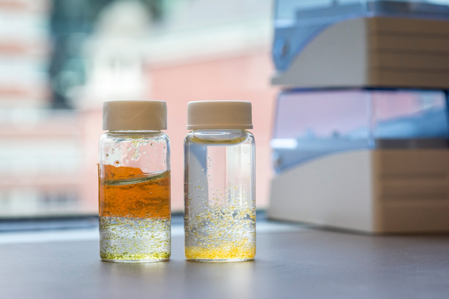 Hydrogels developed at MIT can be used to remove micropollutants from water. Credits:Photo: Sebastian Gonzalez Quintero/MassArt