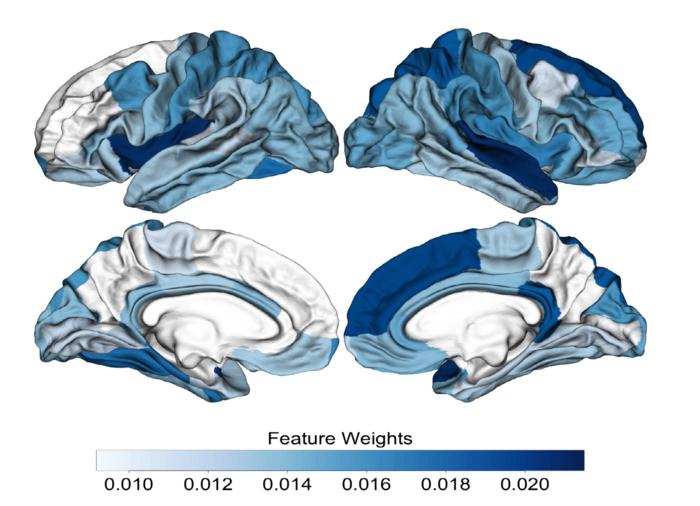This image illustrates the brain regions in which differences were seen in people at clinical high risk who later developed psychosis. The darker blue areas indicate the more important brain regions for differentiating between the two main groups (healthy and those at clinical high risk who later developed psychosis).