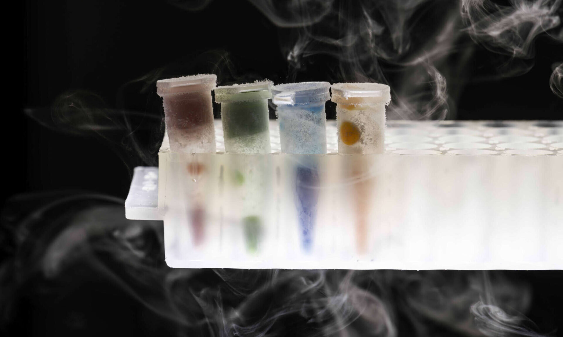 CULTURE CLUB: Members of the University of Rochester’s iGEM team used bacteria cultures, pictured here frozen in liquid nitrogen, to make 3D-bioprinted bacteria samples as part of their project to replicate chemicals found in plants. (University of Rochester photo / J. Adam Fenster)
